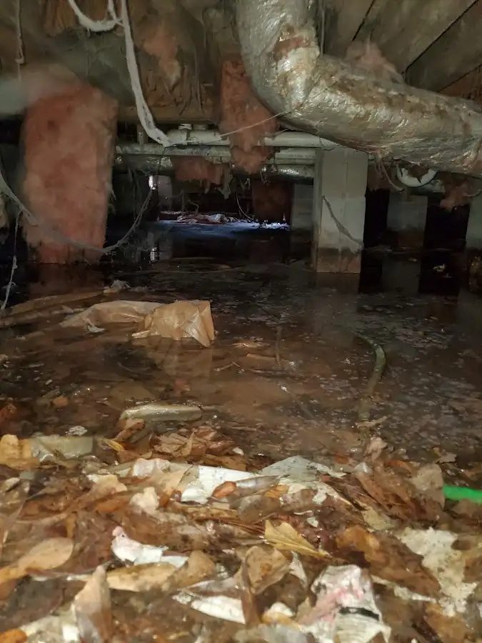 Crawl space flood assessment for Commercial Water Damage Restoration in Bacliff