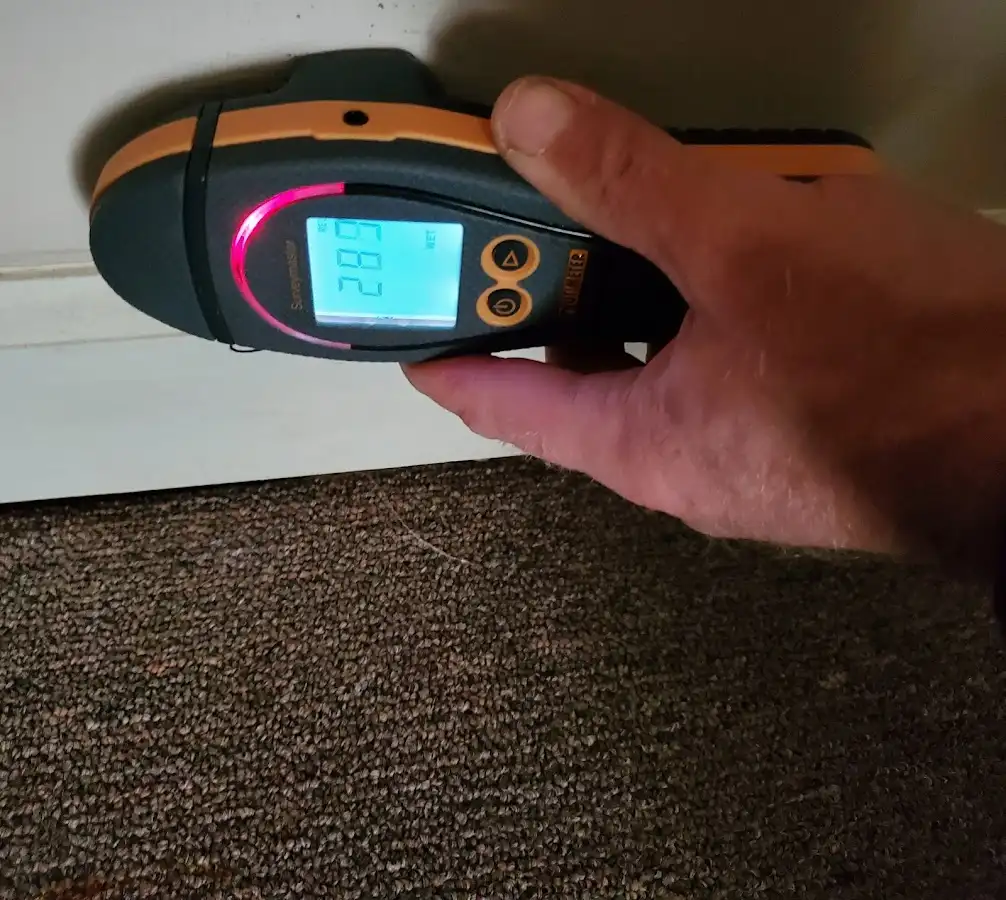 Moisture detection at baseboard during Mold Inspection & Testing in Bacliff